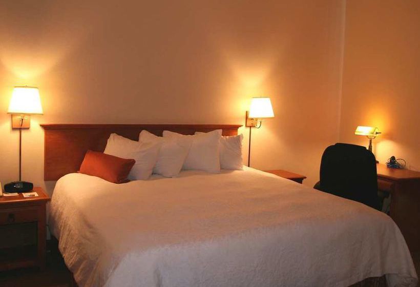 Hotel Hampton Inn & Suites Flagstaff  | Flagstaff | Arizona | United States 9