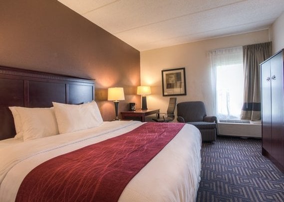 Hotel Hampton Inn Chattanooga-Downtown Lookout Mountain  | Chattanooga | Tennessee | United States 15