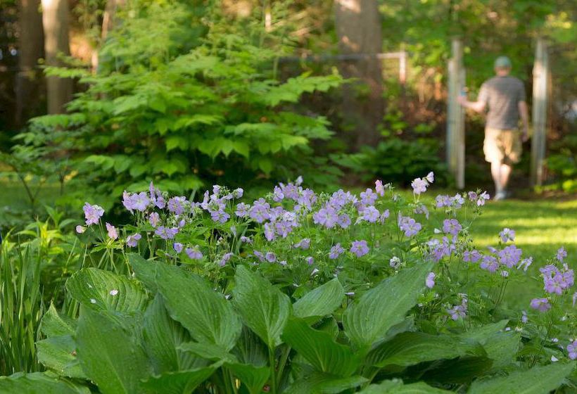 Hotel Hawthorn Inn  | Camden | Maine | United States 11