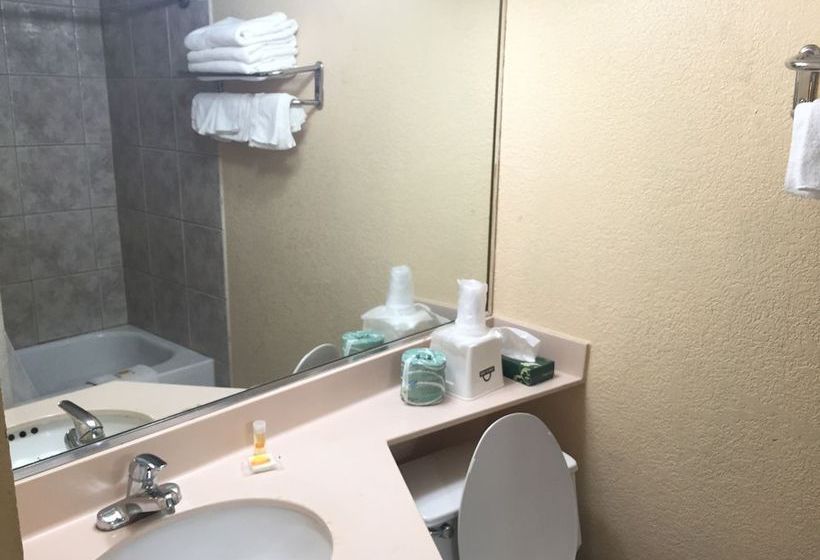 Hotel Days Inn Grove City Columbus South  | Grove City | Ohio | Hotel negli Stati Uniti 2