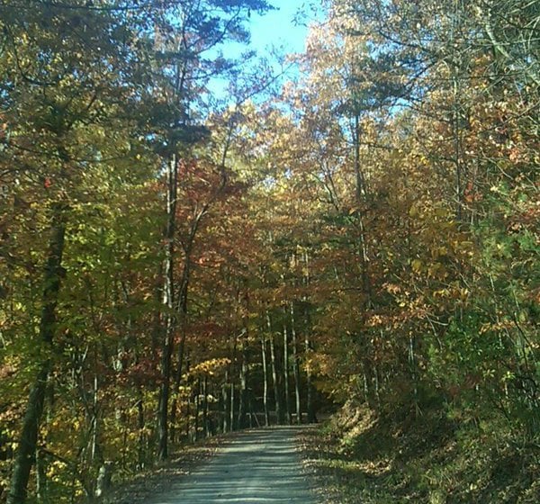 Hotel Highland Manor Inn & Conference Center  | Townsend | Tennessee | United States 1