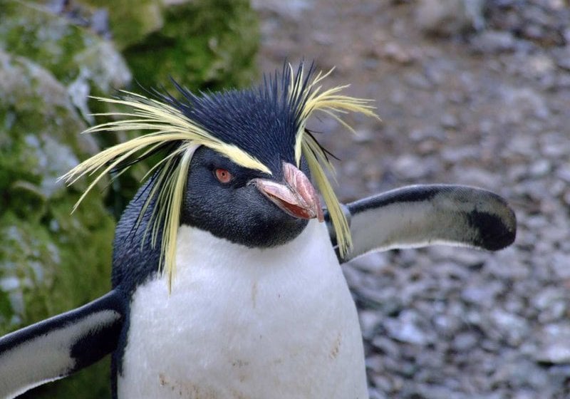 Hotel Hilton Garden Inn St. Louis Chesterfield  | Chesterfield | Missouri | United States 20