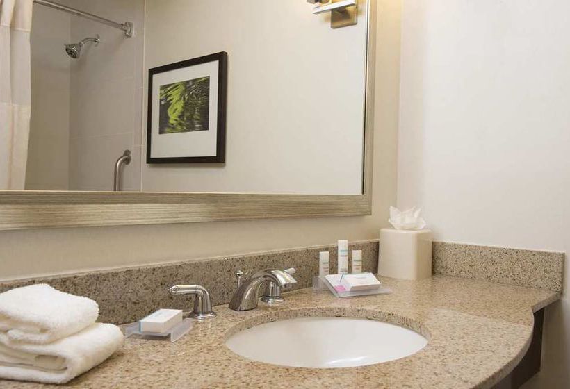 Hotel Hilton Garden Inn Lexington  | Lexington | Kentucky | United States 16