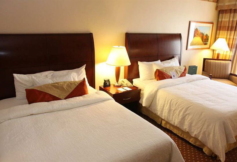 Hotel Hilton Garden Inn Rochester Downtown  | Rochester | Minnesota | United States 4