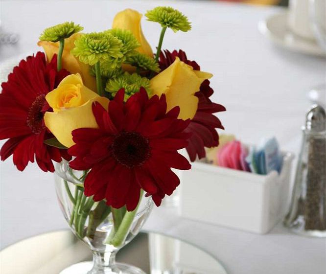 Hotel Hilton Garden Inn Atlanta Perimeter Center  | Atlanta | Georgia | United States 18