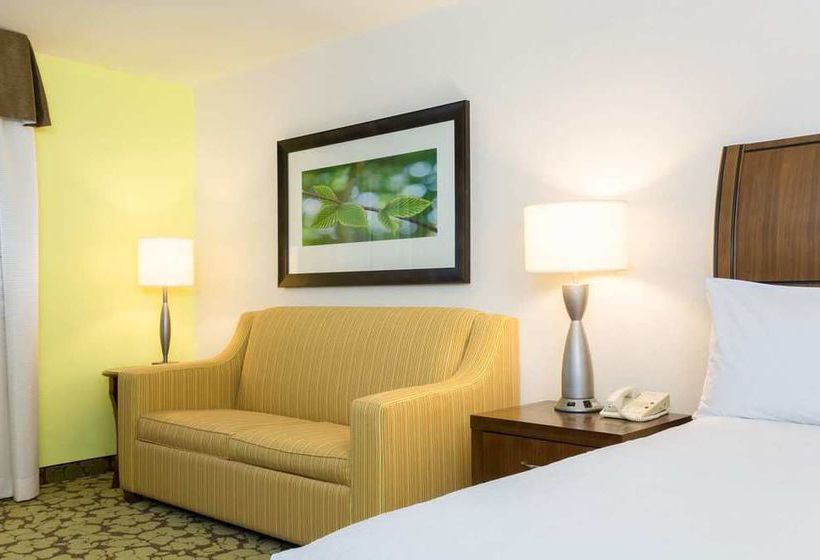 Hotel Hilton Garden Inn Fort Worth North  | Fort Worth | Texas | United States 6