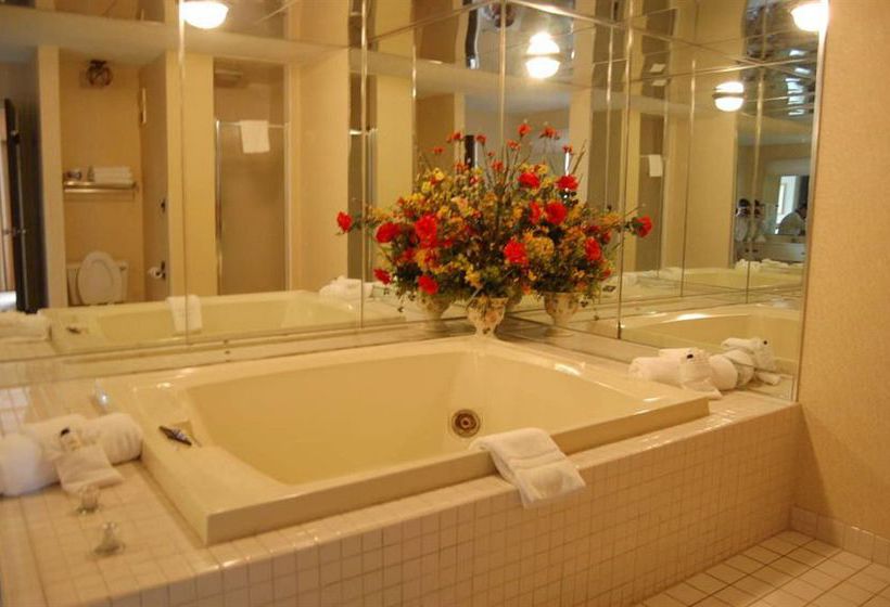 Hotel Holiday Inn Alexandria Downtown  | Alexandria | Louisiana | United States 4