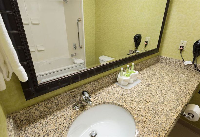 Hotel Holiday Inn Express Asheville Biltmore Square Mall  | Asheville | North Carolina | United States 10