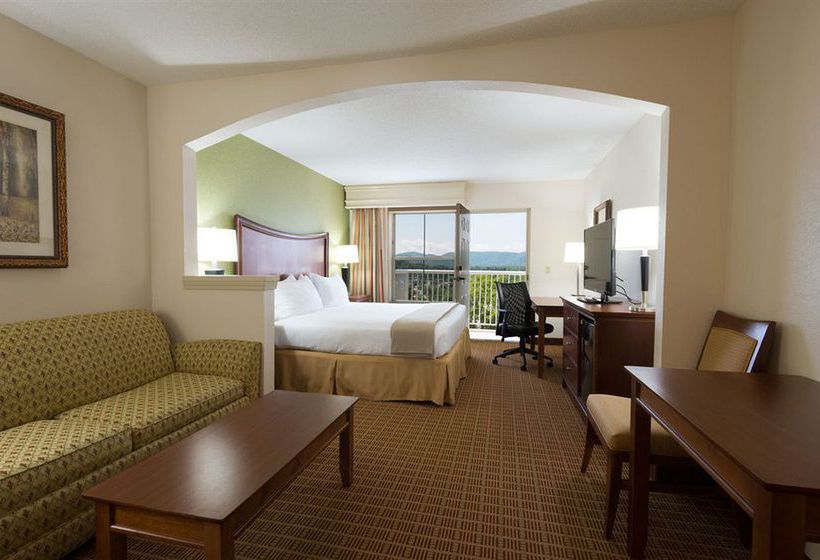 Hotel Holiday Inn Express Asheville Biltmore Square Mall  | Asheville | North Carolina | United States 11