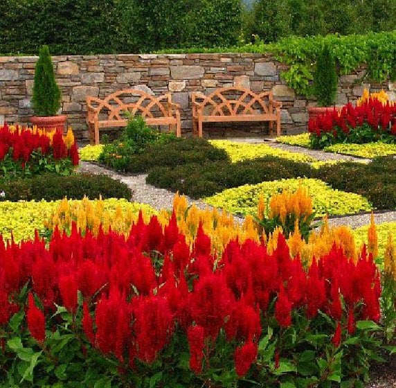 Hotel Holiday Inn Express Asheville Biltmore Square Mall  | Asheville | North Carolina | United States 20