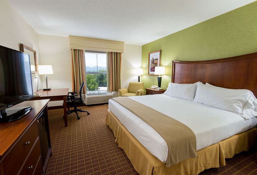 Hotel Holiday Inn Express Asheville Biltmore Square Mall  | Asheville | North Carolina | United States 8