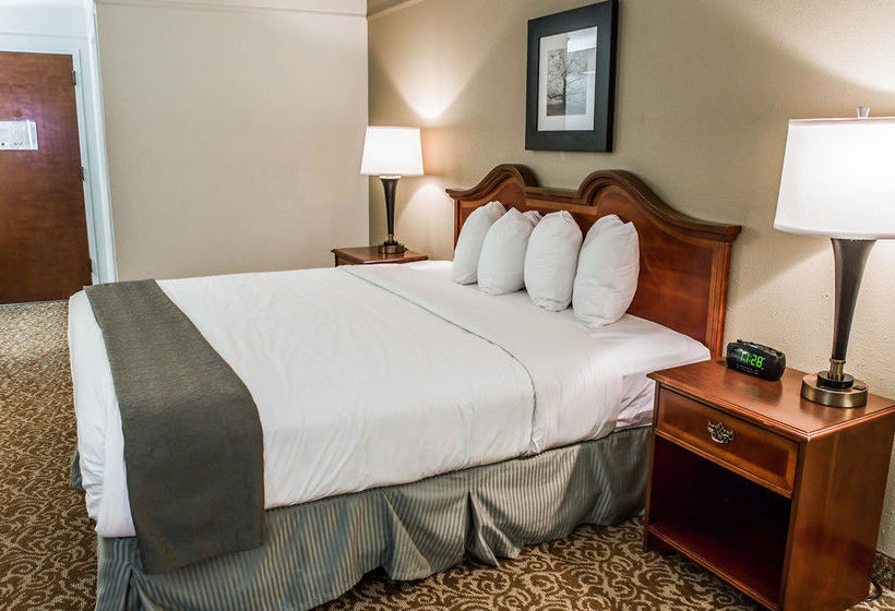 Hotel Quality Inn   | Whiteville | North Carolina | United States 16