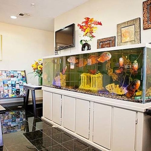 Hotel Super 8 Tomball  | Tomball | Texas | United States 11