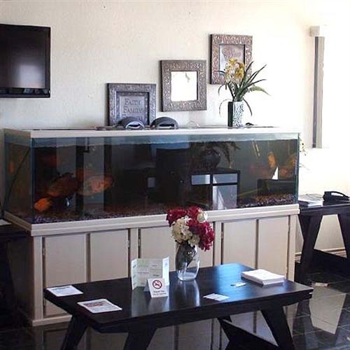 Hotel Super 8 Tomball  | Tomball | Texas | United States 5