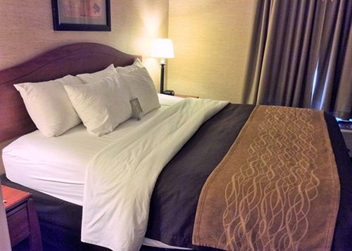 Hotel Comfort Inn & Suites Benton  | Benton | Kentucky | United States 10
