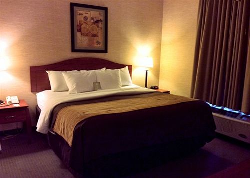 Hotel Comfort Inn & Suites Benton  | Benton | Kentucky | United States 12