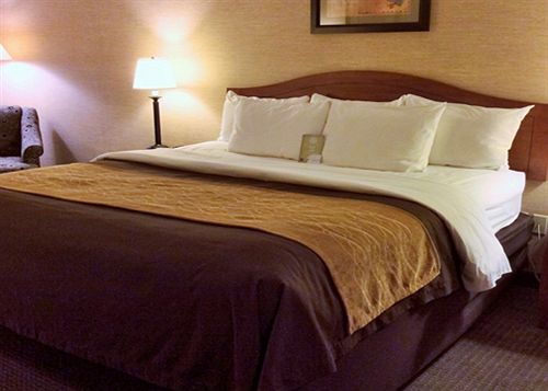 Hotel Comfort Inn & Suites Benton  | Benton | Kentucky | United States 3
