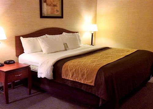 Hotel Comfort Inn & Suites Benton  | Benton | Kentucky | United States 4