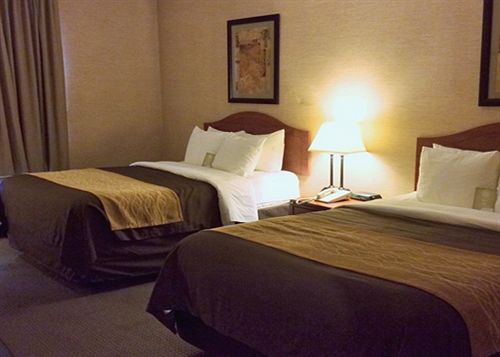 Hotel Comfort Inn & Suites Benton  | Benton | Kentucky | United States 6