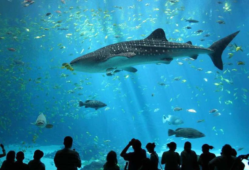 Hotel Hampton Inn Atlanta-Georgia Tech-Downtown  | Atlanta | Georgia | United States 19