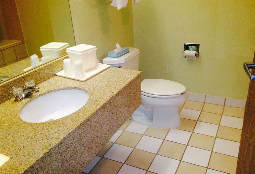 Hotel Comfort Inn & Suites Markham  | Markham | Illinois | United States 6