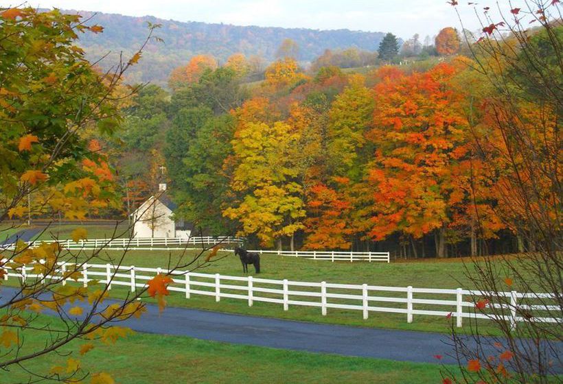 Hotel Holiday Inn Express Pinetop Arizona  | Pinetop | Arizona | United States 12