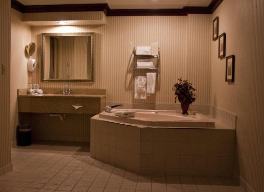 Hotel Holiday Inn Express Mentor (Lamalfa Conf Centre )  | Mentor | Ohio | United States 12