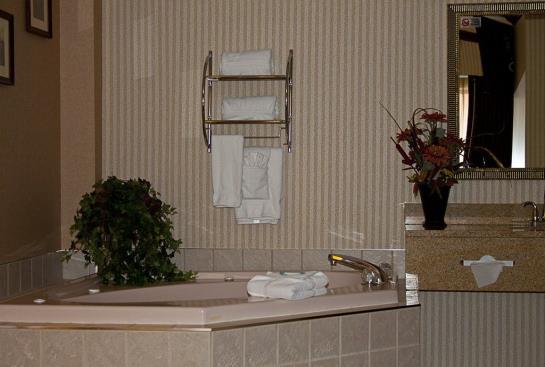 Hotel Holiday Inn Express Mentor (Lamalfa Conf Centre )  | Mentor | Ohio | United States 17