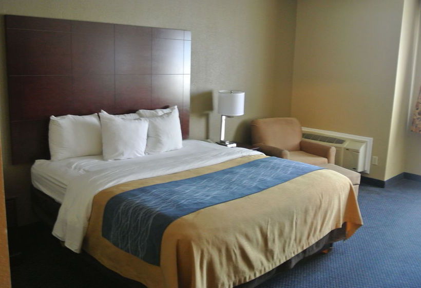 Hotel Comfort Inn Downtown South at Turner Field Atlanta Georgia