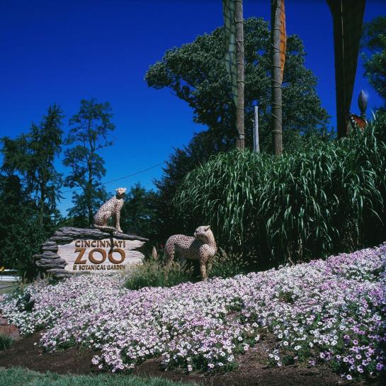 Hotel Holiday Inn Express Cincinnati West Chester   | West Chester | Ohio | United States 19