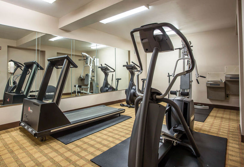 Hotel Quality Inn & Suites Matthews   | Matthews | North Carolina | United States 3