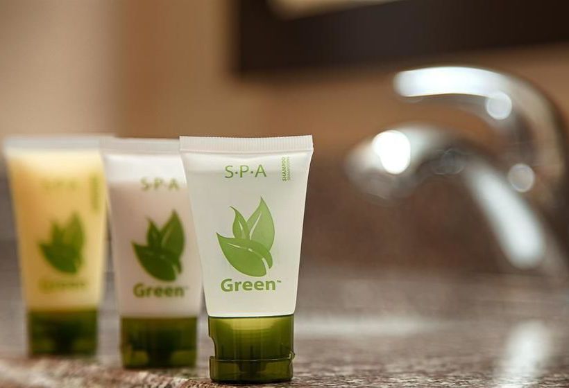 Hotel Best Western Plus Kansas City Airport-KCI East  | Kansas City | Missouri | United States 3