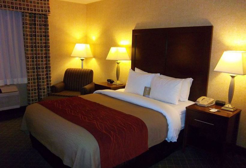 Hotel Comfort Inn & Suites   | Los Alamos | New Mexico | United States 6