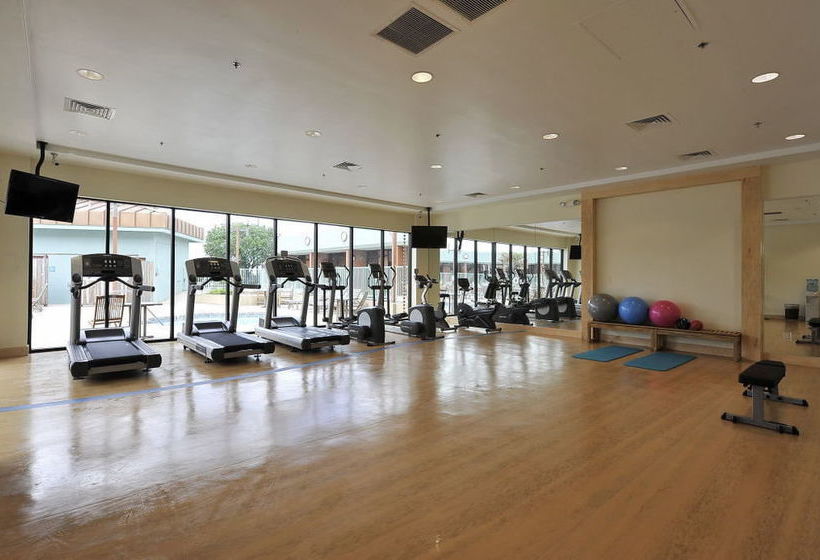 Wyndham Garden Hotel Austin  | Austin | Texas | United States 4