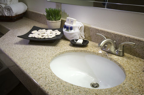 Wyndham Garden Hotel Austin  | Austin | Texas | United States 6