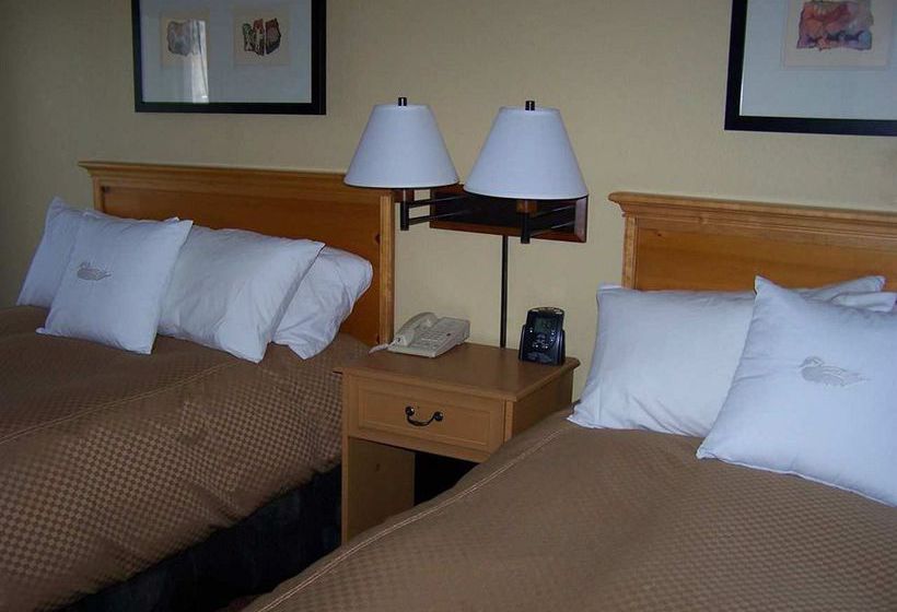 Hotel Homewood Suites by Hilton Phoenix-Biltmore  | Phoenix | Arizona | United States 8