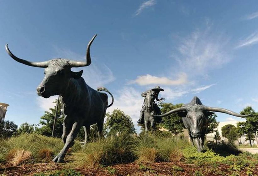 Hotel Homewood Suites by Hilton North Dallas-Plano  | Plano | Texas | United States 17