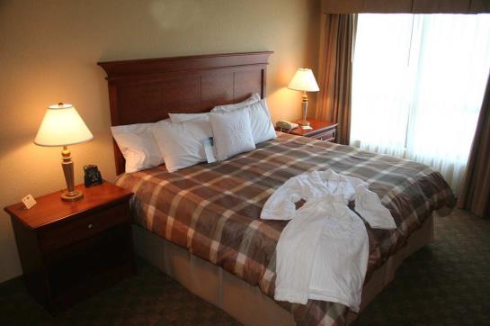 Hotel Homewood Suites by Hilton Seattle Downtown  | Seattle | Washington | United States 17