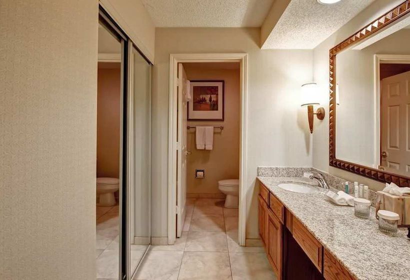 Hotel Homewood Suites by Hilton Dallas-Irving-Las Colinas  | Irving | Texas | United States 11