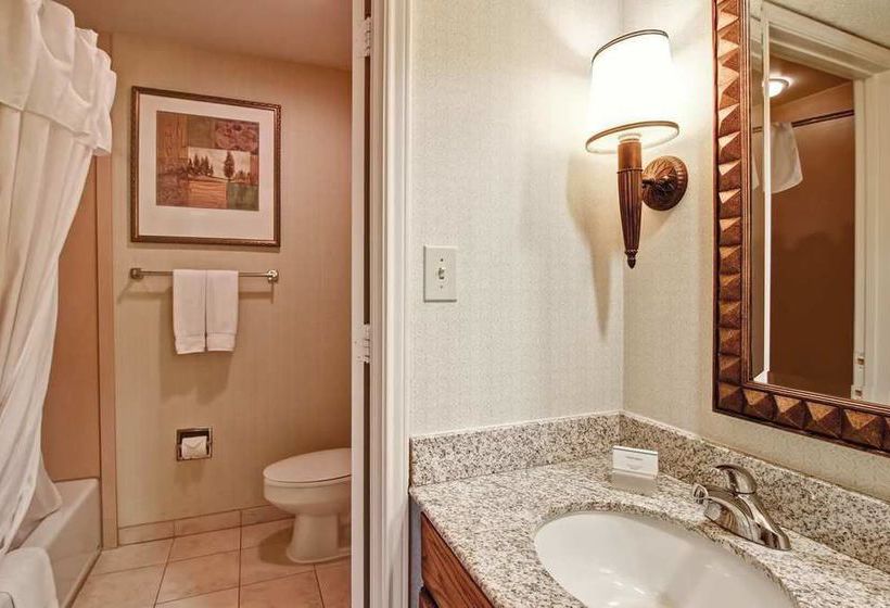 Hotel Homewood Suites by Hilton Dallas-Irving-Las Colinas  | Irving | Texas | United States 19