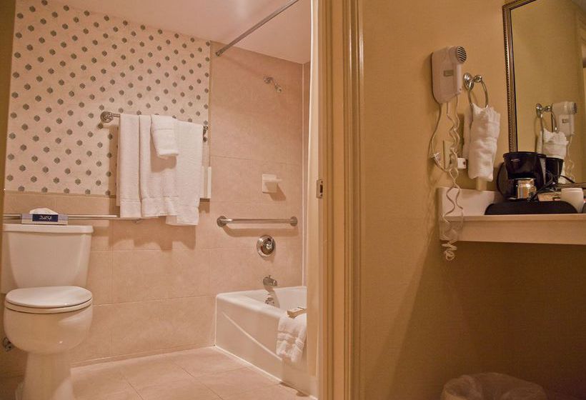 Hotel St Marie  | New Orleans | Louisiana | United States 12