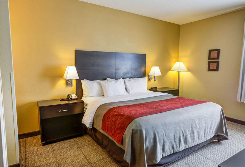 Hotel Comfort Inn Lenexa Lenexa Kansas
