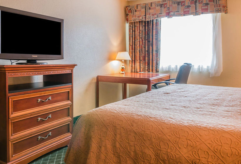 Hotel Quality Inn & Suites Romulus  | Romulus | Michigan | United States 10