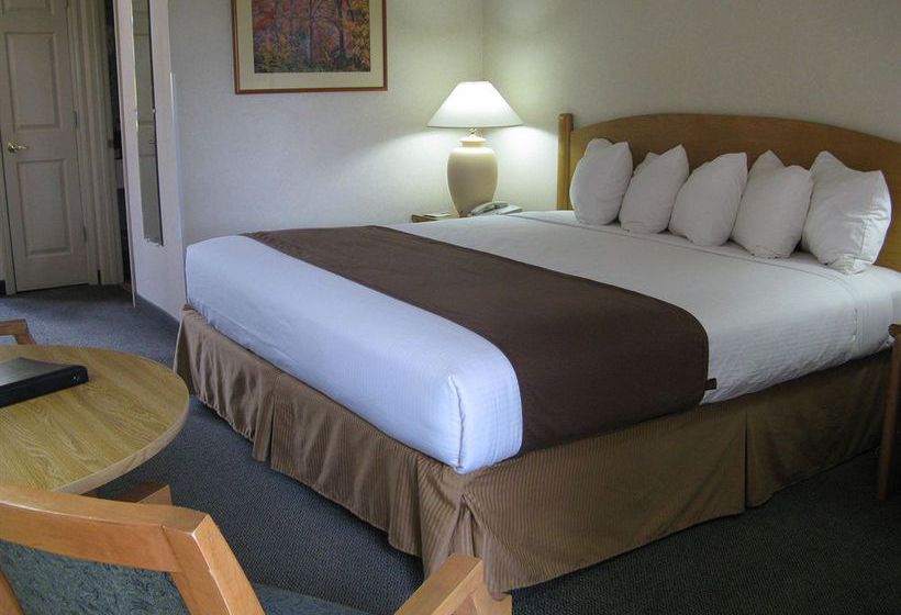 Hotel Best Western Payson Inn  | Payson | Arizona | United States 13