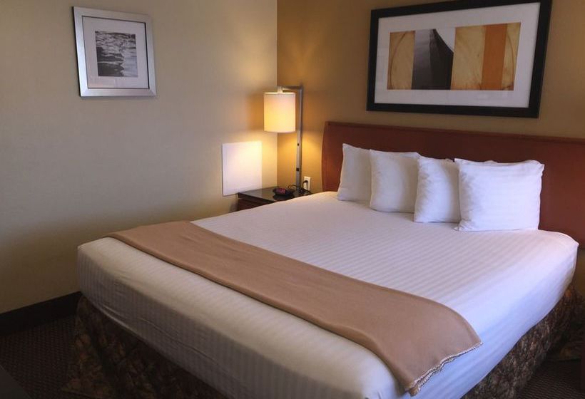 Hotel Aspen Flagstaff Grand Canyon  | Flagstaff | Arizona | United States 12