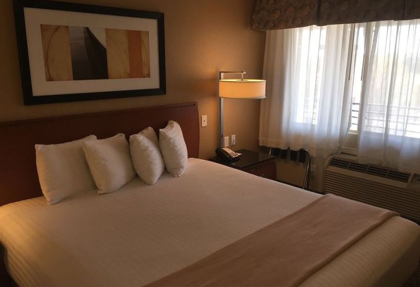 Hotel Aspen Flagstaff Grand Canyon  | Flagstaff | Arizona | United States 7