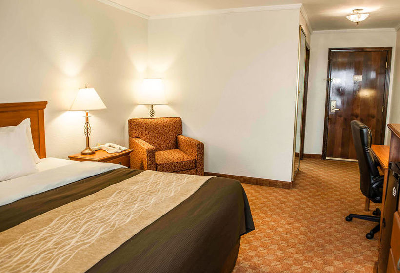 Hotel Comfort Inn Lafayette   | Lafayette | Indiana | United States 8