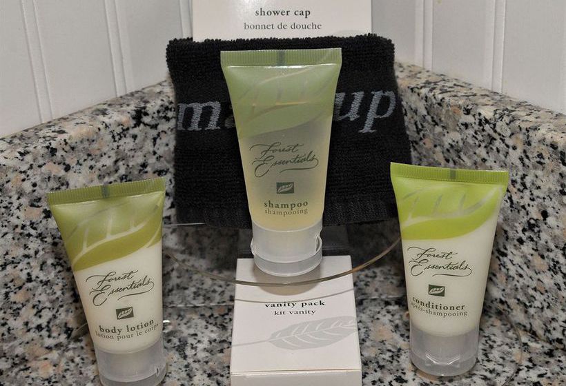 Hotel Lord Camden Inn  | Camden | Maine | United States 11