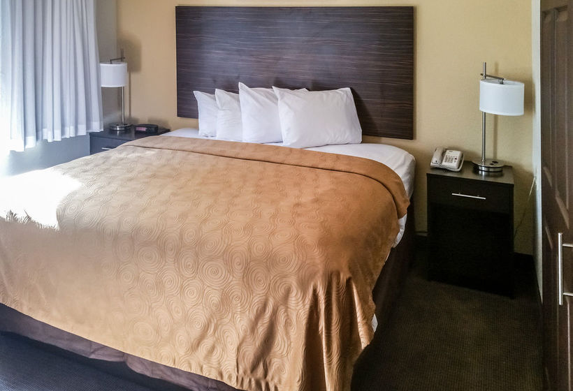 Hotel MainStay Suites Pittsburgh  | Pittsburgh | Pennsylvania | United States 4