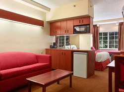 Microtel Inn & Suites Raleigh  | Raleigh | North Carolina | United States 6